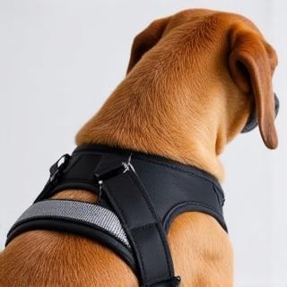 Harnais ajustable premium pour chien